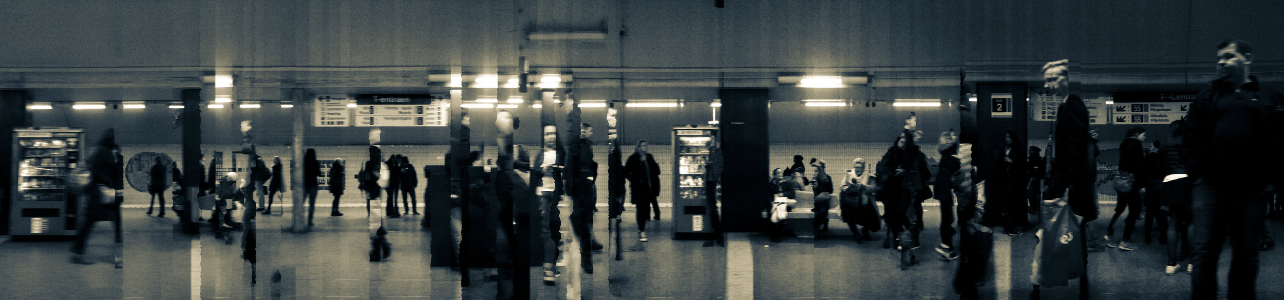Translocation_Serinyà_IMG_2361.jpg