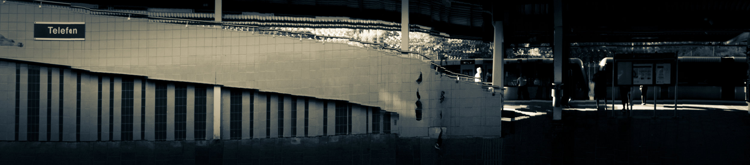 Translocation_Serinyà_IMG_4685.jpg