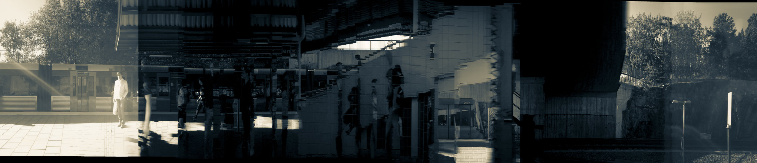 Translocation_Serinyà_IMG_4718.jpg