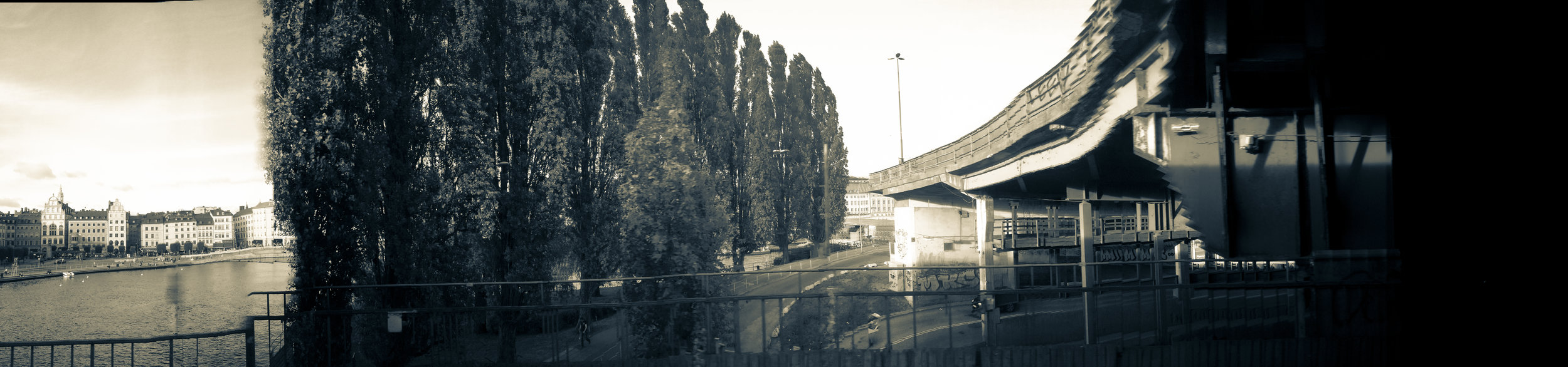 Translocation_Serinyà_IMG_5208.jpg