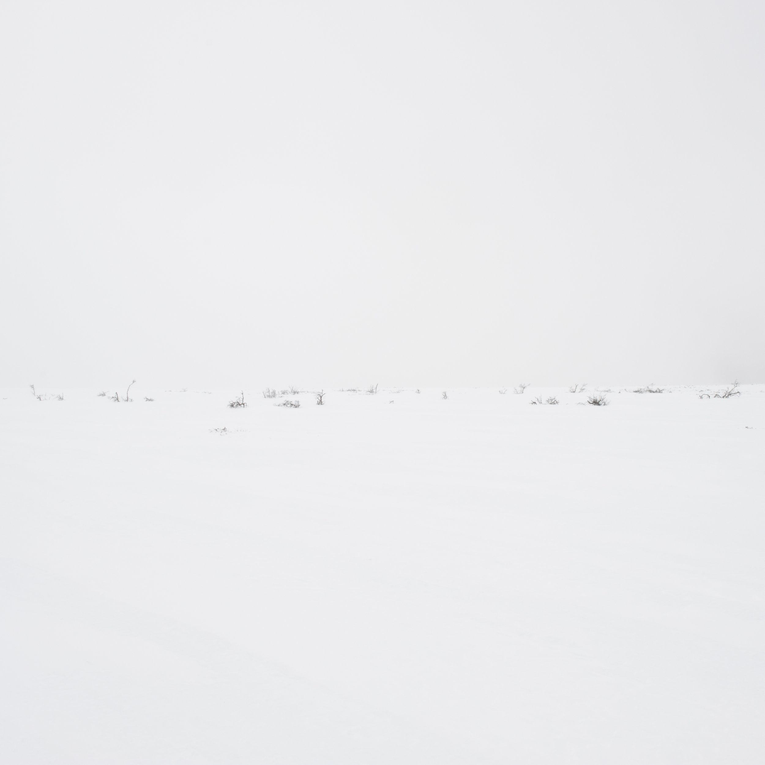 007Passage_Serinyà__DSC8588.jpg