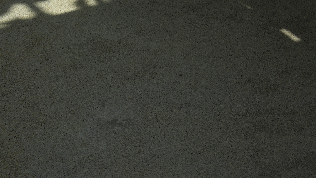 ruskin_shadow_resize.png