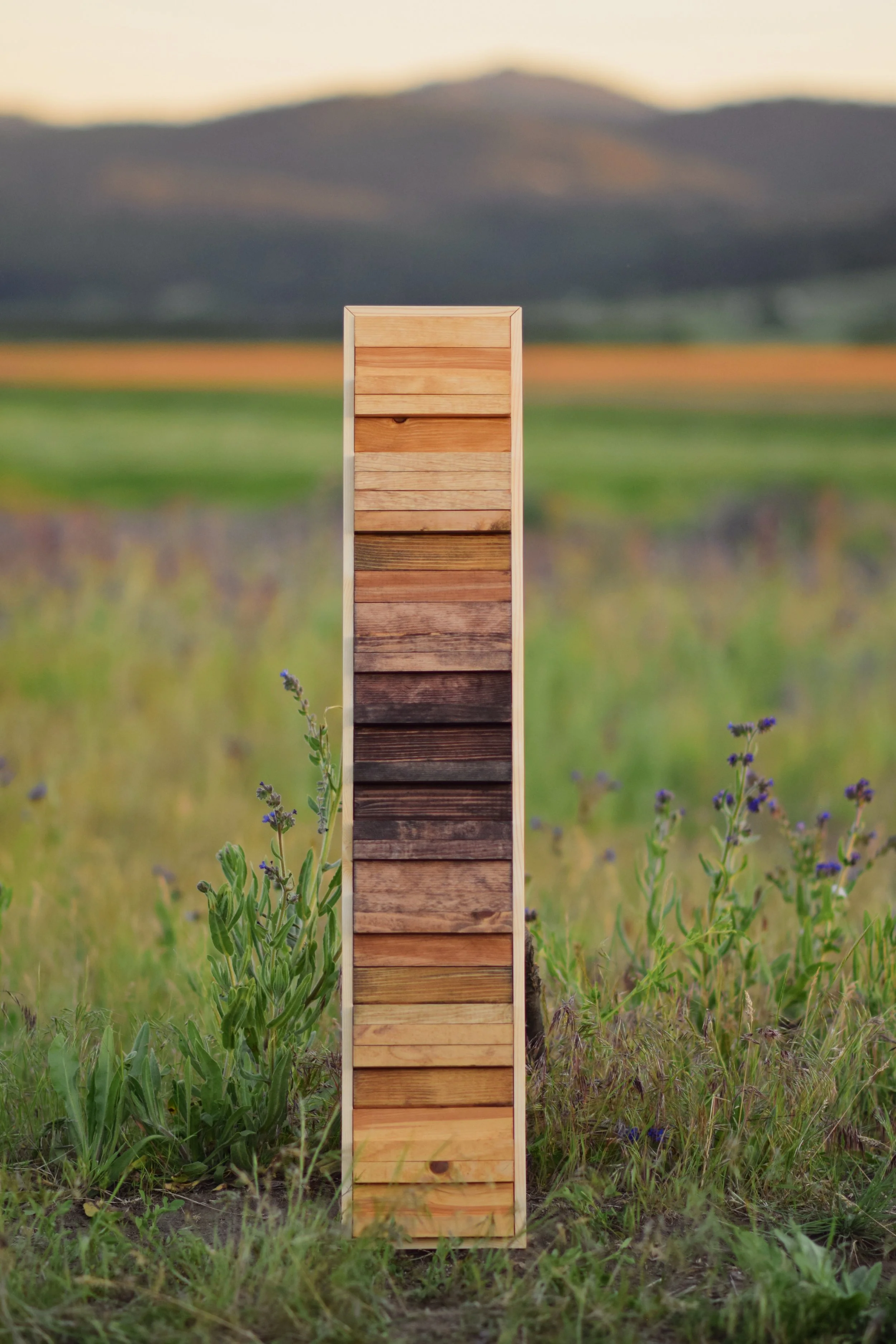 A3F3AECA-4852-40F0-BD18-8B1C3BA3E15A 2.JPG