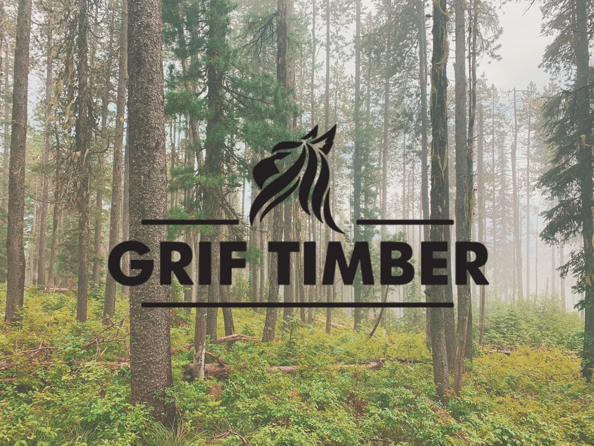 GRIFtimber