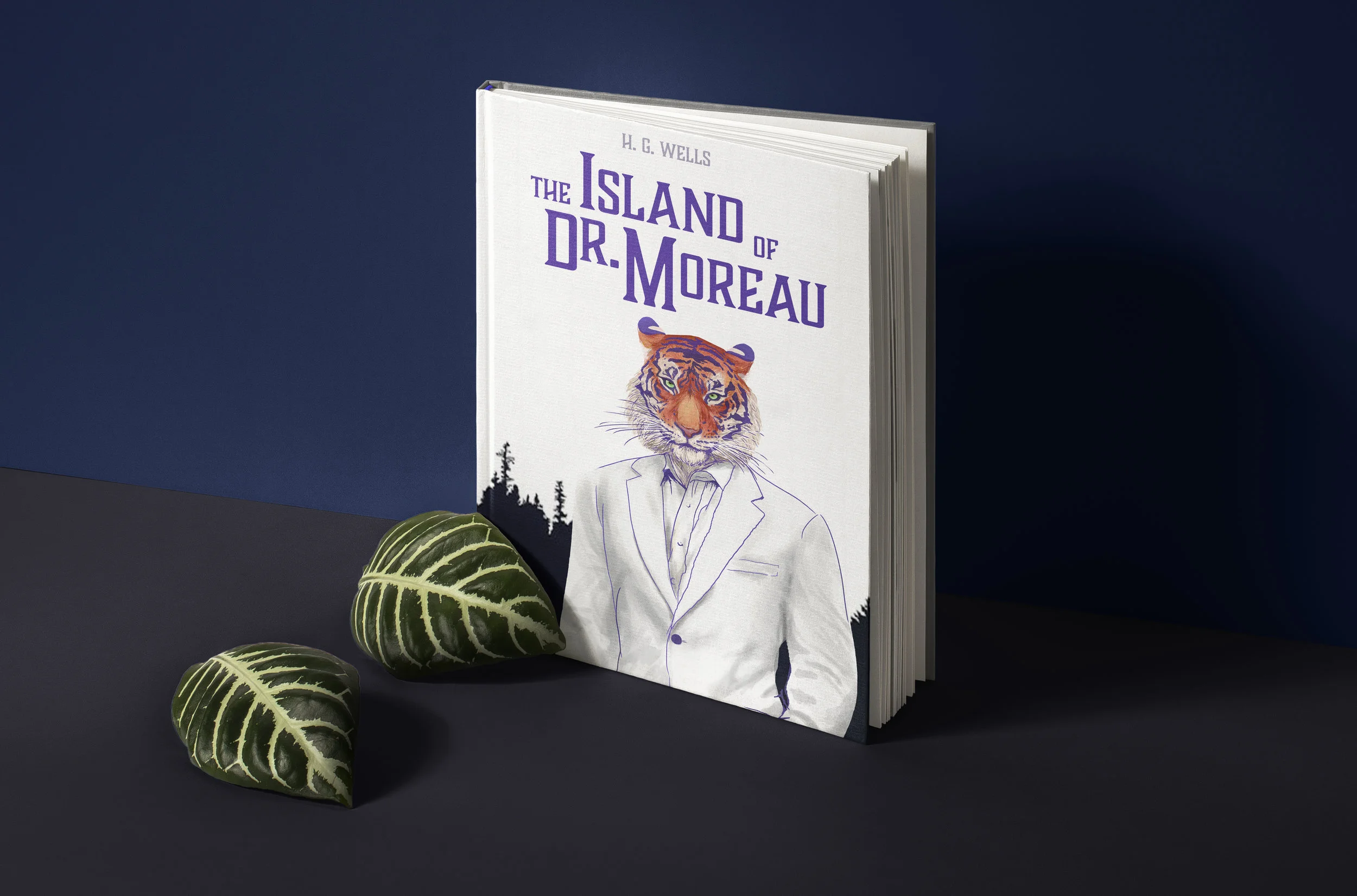 drmoreaux.book.mockup.jpg
