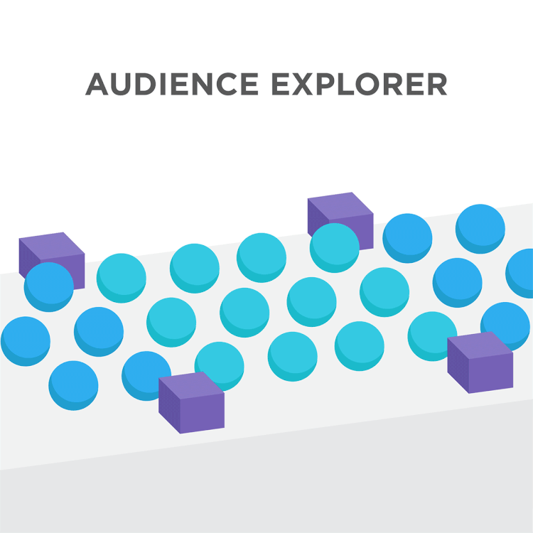 Audience-Explorer-Animation.gif