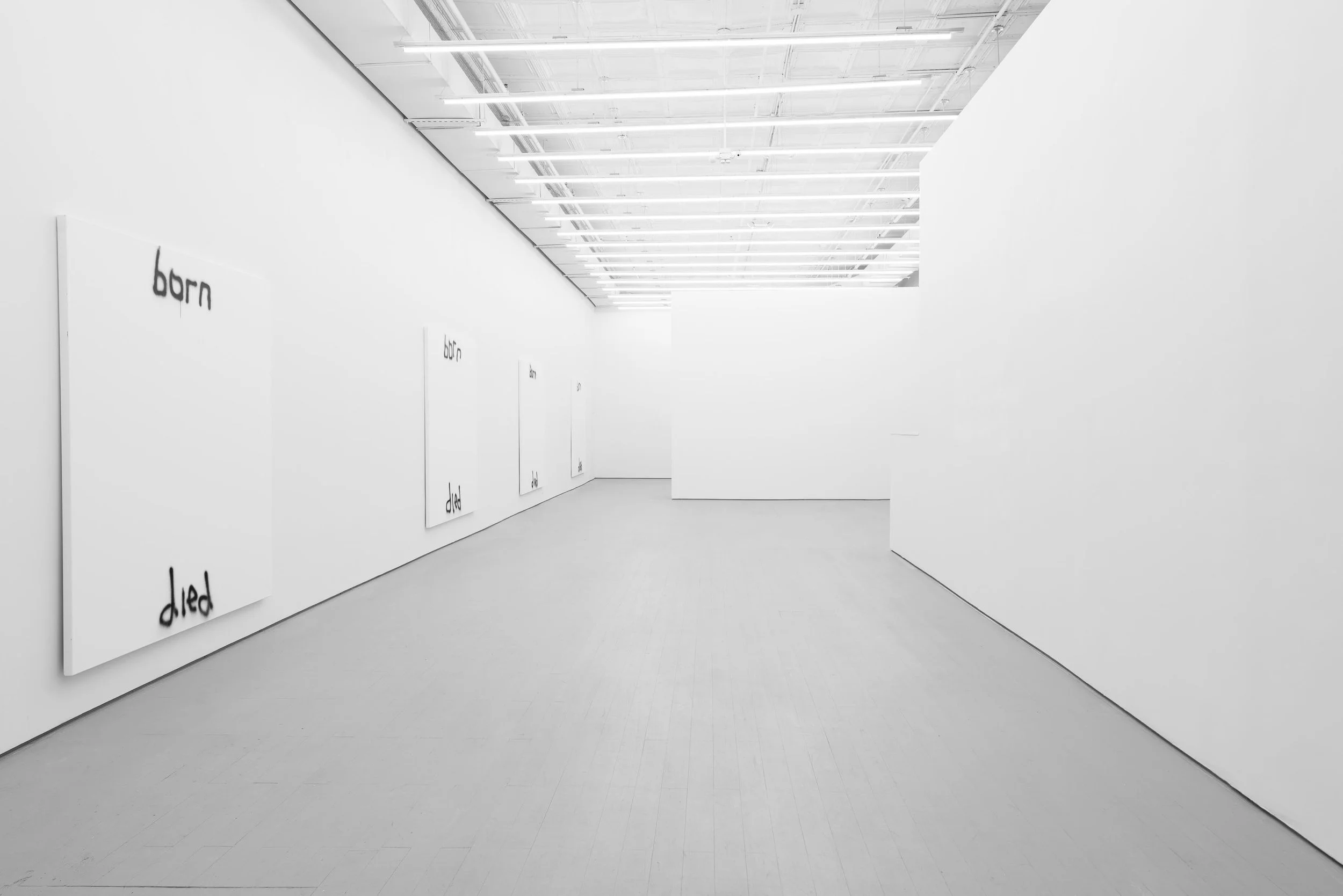 001_SCS_instal-11_sm.jpg