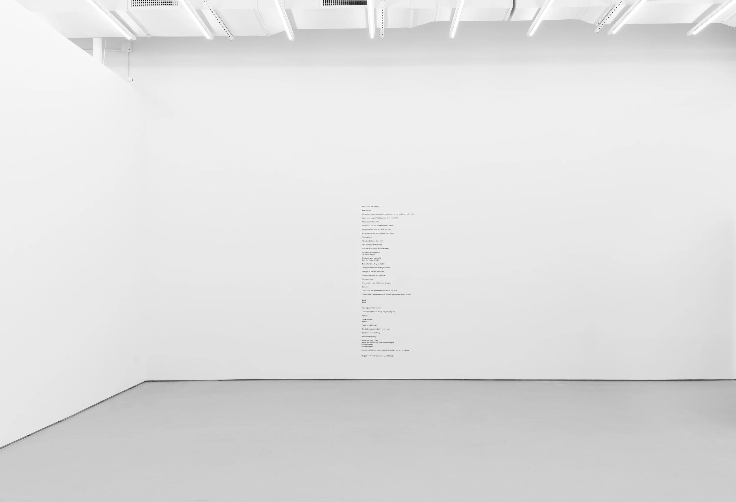 005_SCS_instal-12_sm.jpg