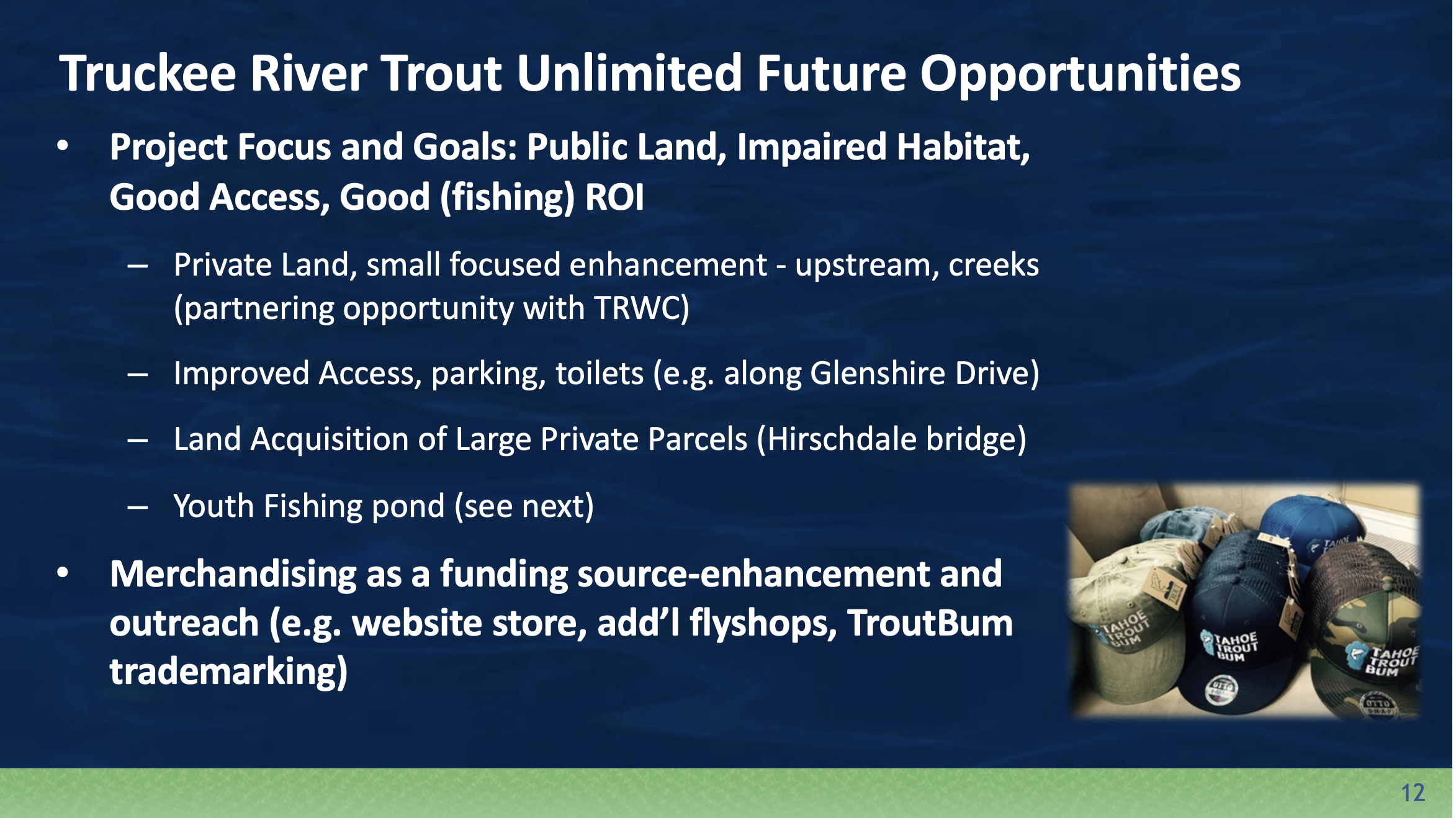 Strategic Plan — Truckee River Trout Unlimited