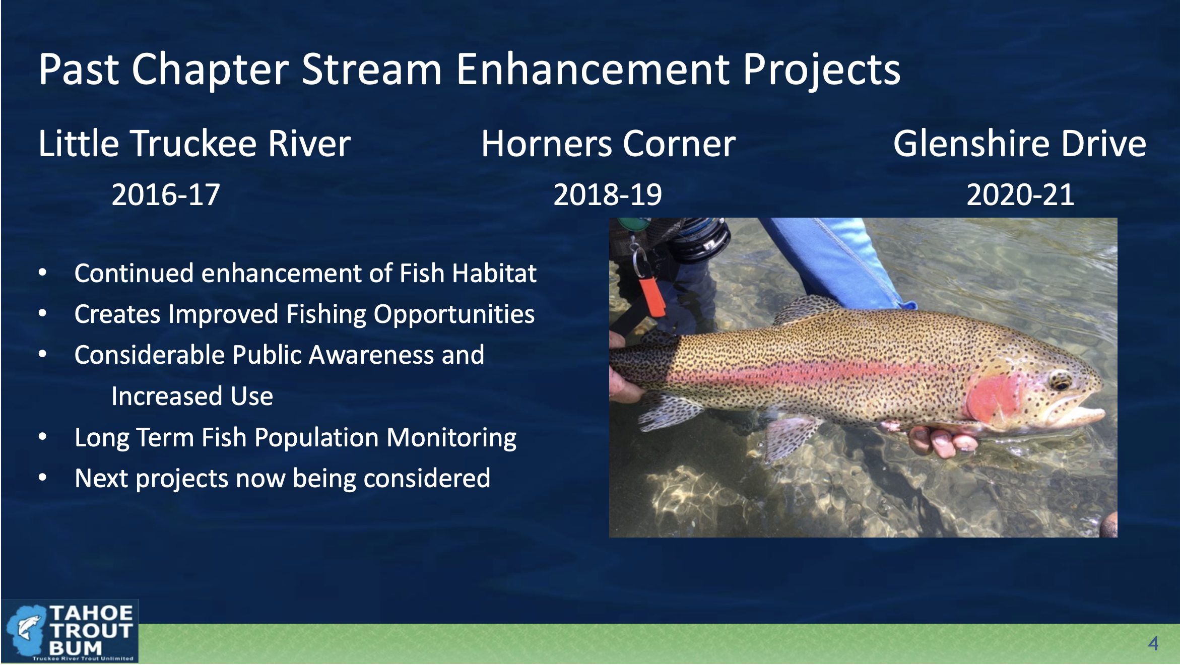 Strategic Plan — Truckee River Trout Unlimited