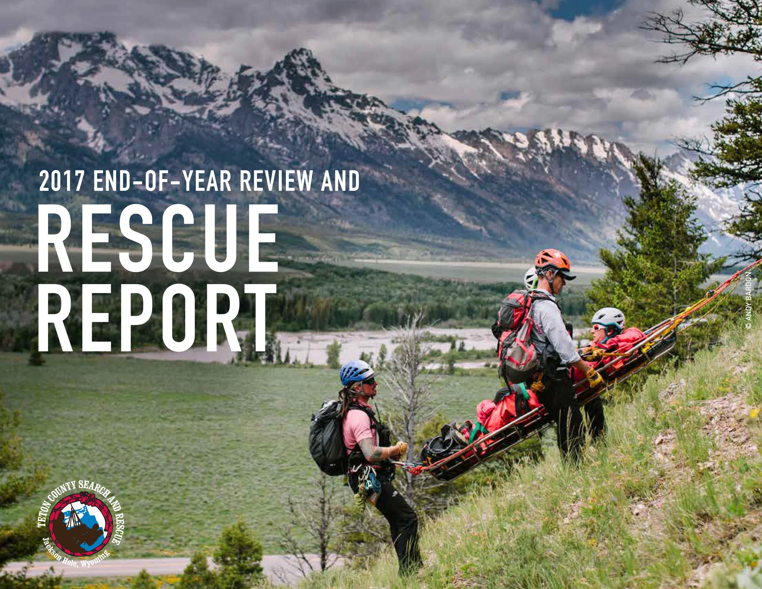 RescueReportEOY2017_web-1.jpg