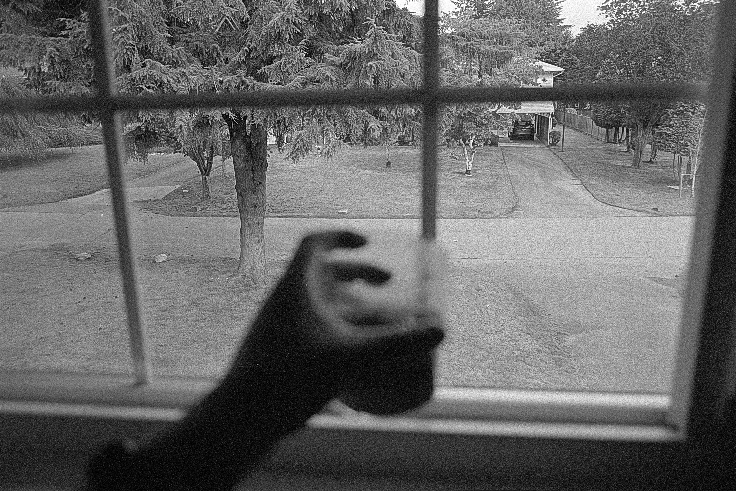 Image (26).jpg