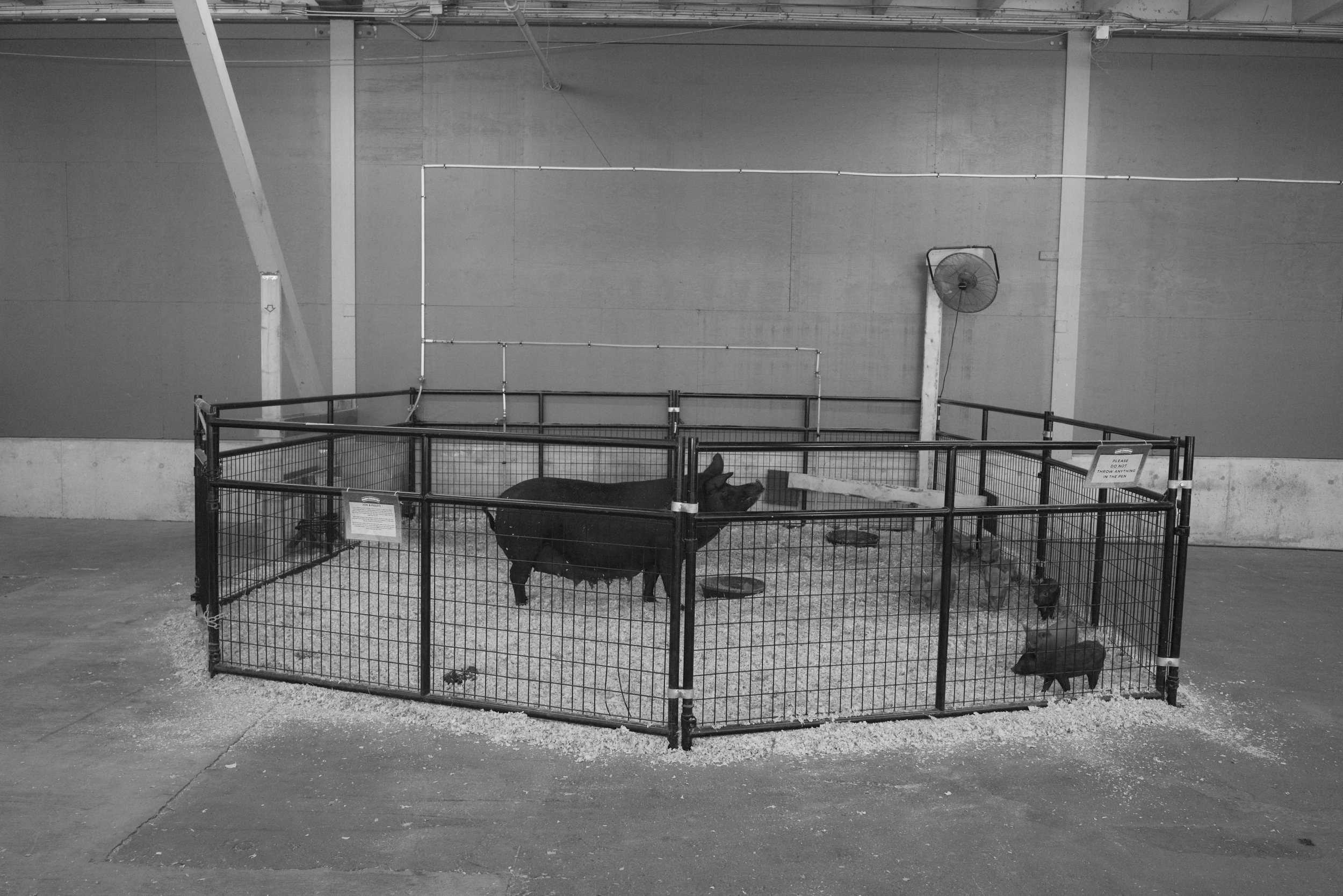 L1000415.jpg