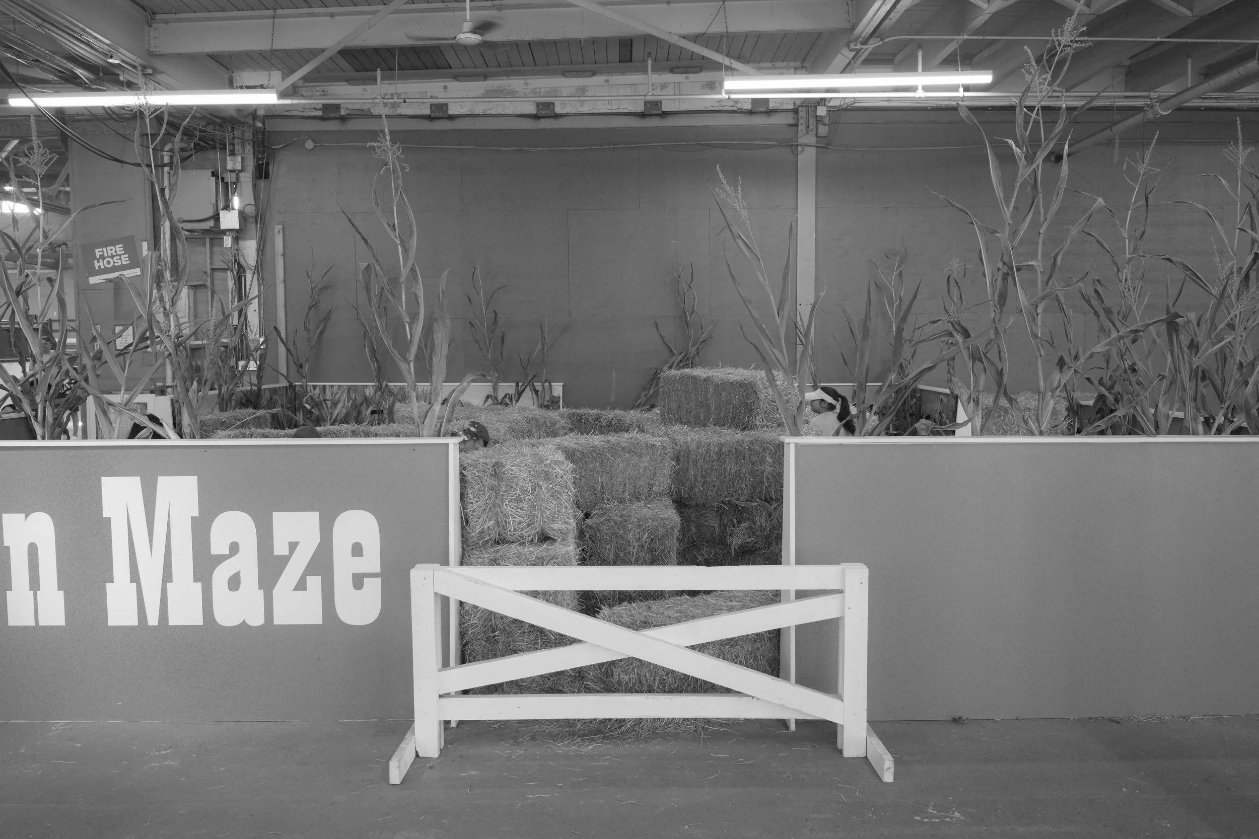 L1000447.jpg
