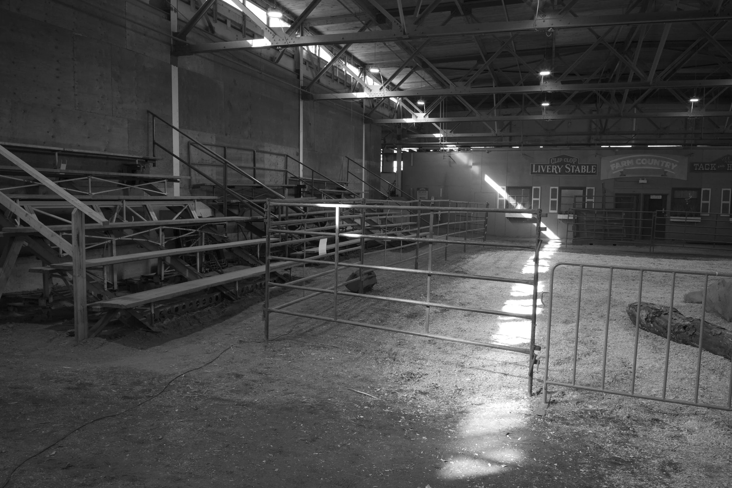 L1000418.jpg