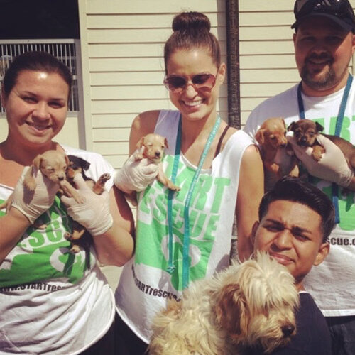 Shelter Transport Animal Rescue Team START Rescue