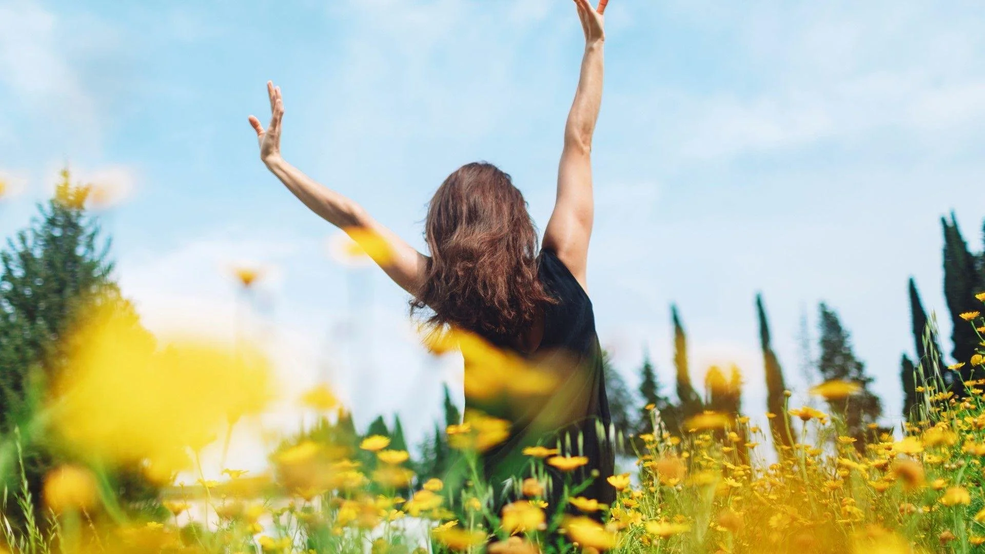 Don’t Wait Until Winter: Why Summer Is The Ideal Time To Start Therapy