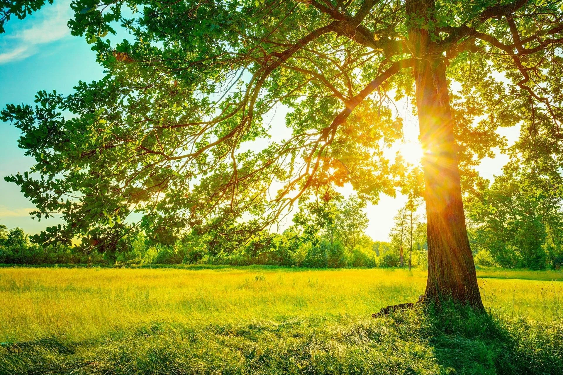 Sun, Smiles, and Silent Struggles: The Mental Health Side of Summer No One Talks About