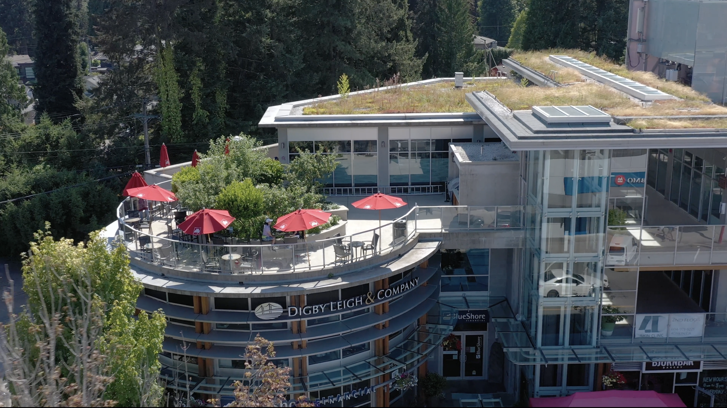 DL&amp;Co. short film