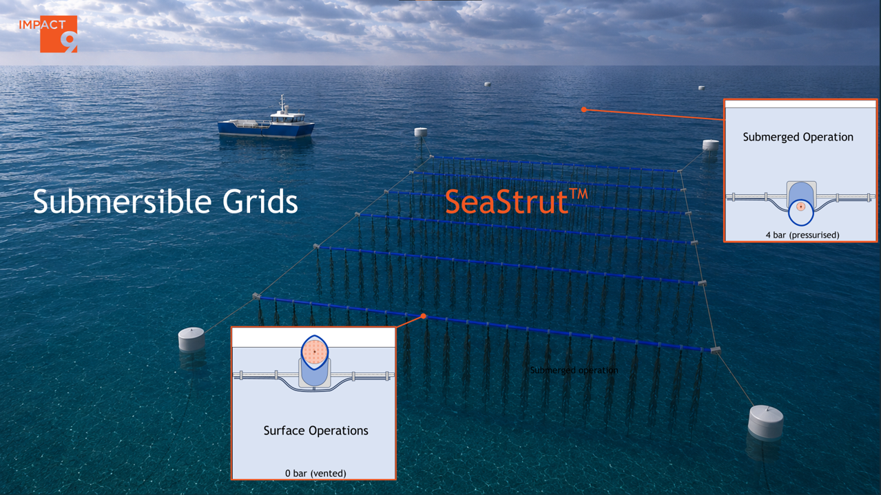 Submersible seaweed and mussel farm grid with pressure adaptive tube stored energy compressed gas cells