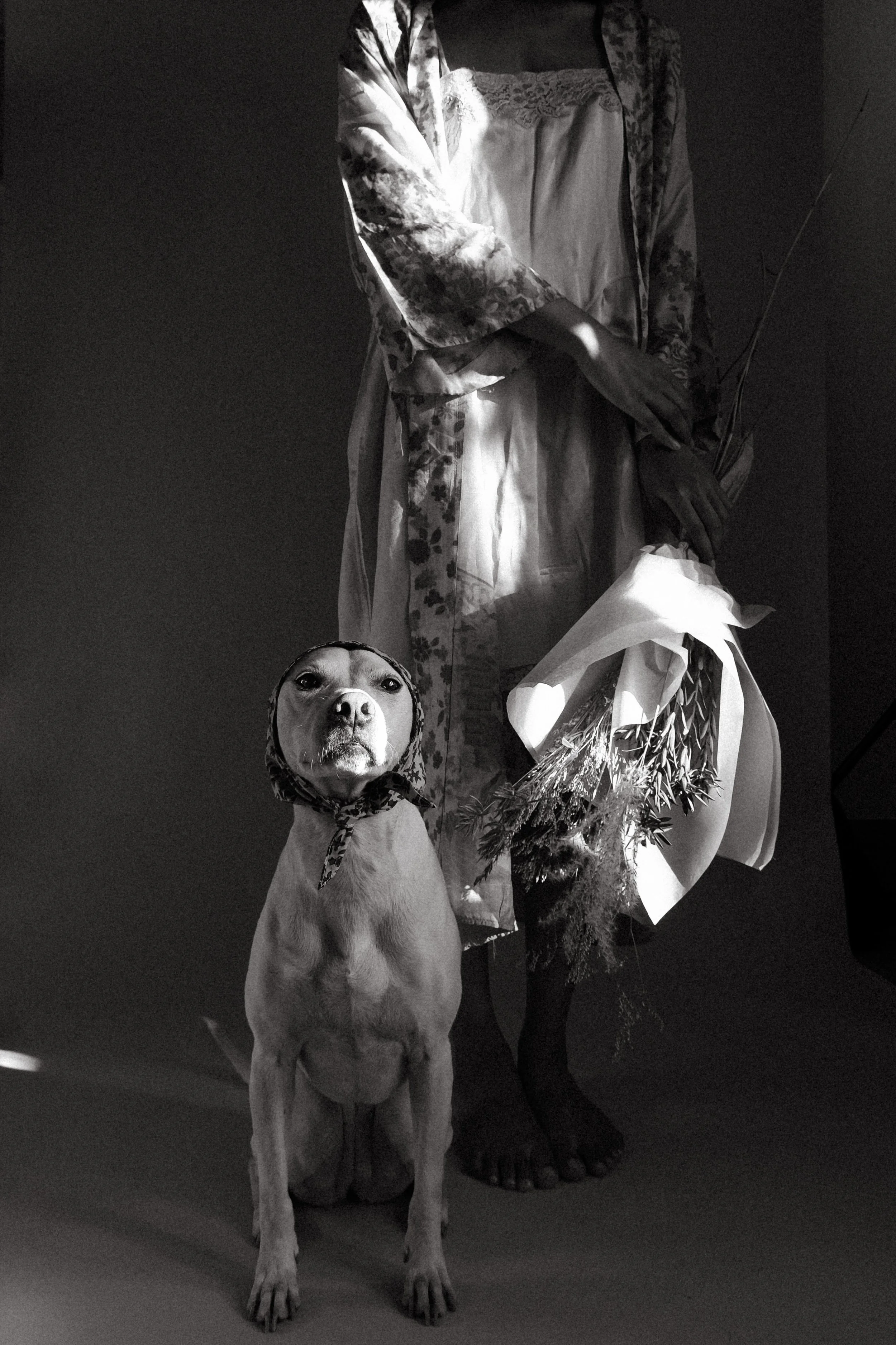 DSCF7391 3.JPG