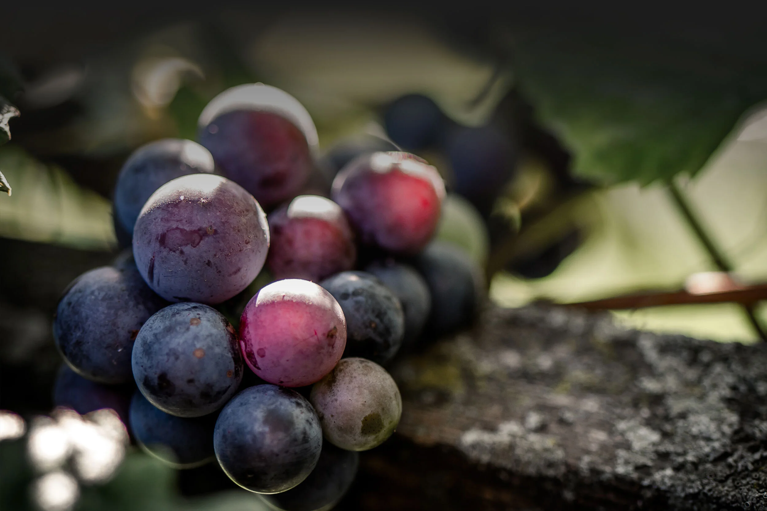 Prestige Wine Company