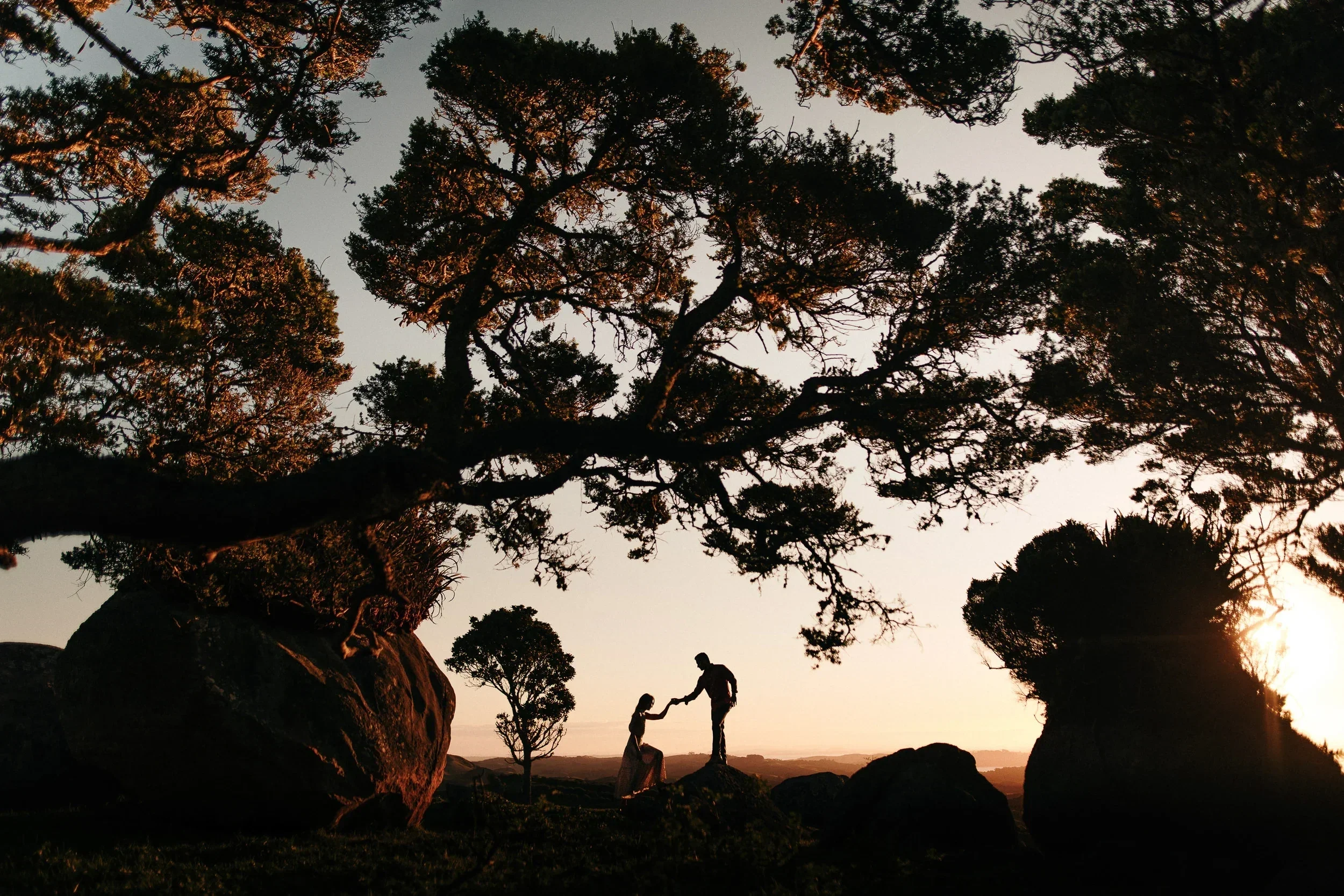 Cinematic sunset wedding silhouette of a couple framed by large tree branches and rocky landscape, captured in warm golden light.
