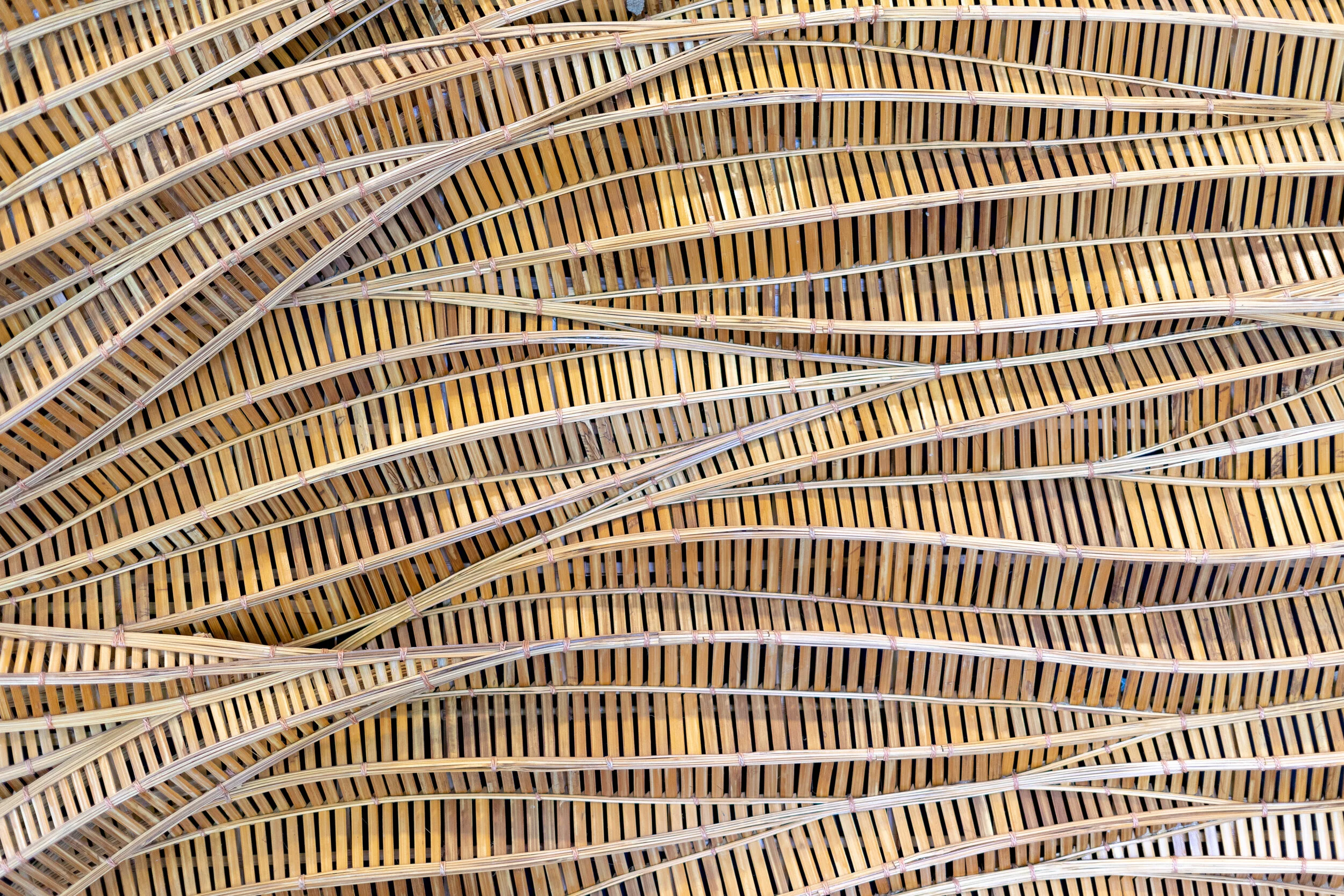 AdobeStock_273310884 (1).jpeg