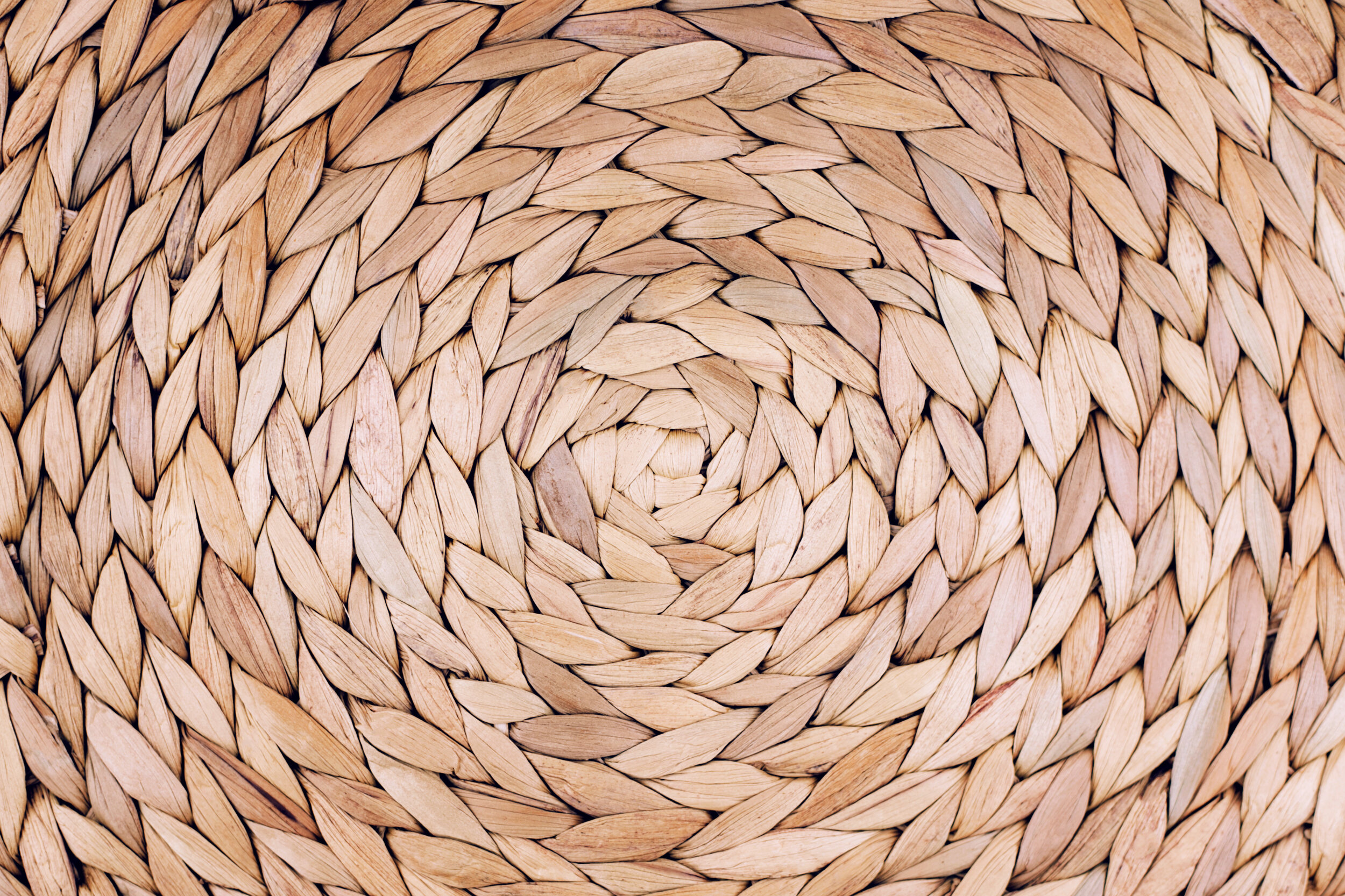 AdobeStock_286128456 (1).jpeg