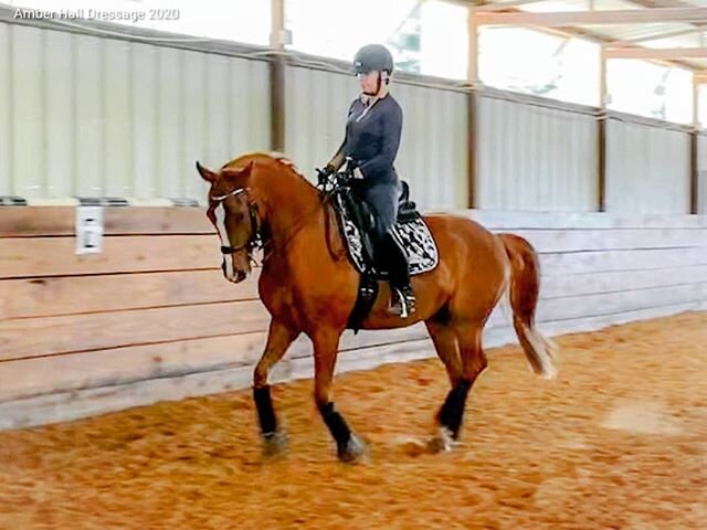 We are itching to get back to the show ring! 🥇🥈🥉 #showlove #lovetoshow #horseshow #weready #letsgo #ChargeMyCard
#chestnutwithchrome #futurefeihorse #dressagehorse #oldenburg #horsesofinstagram #dressagecoach #dressagetrainer #dressage #dallasdres