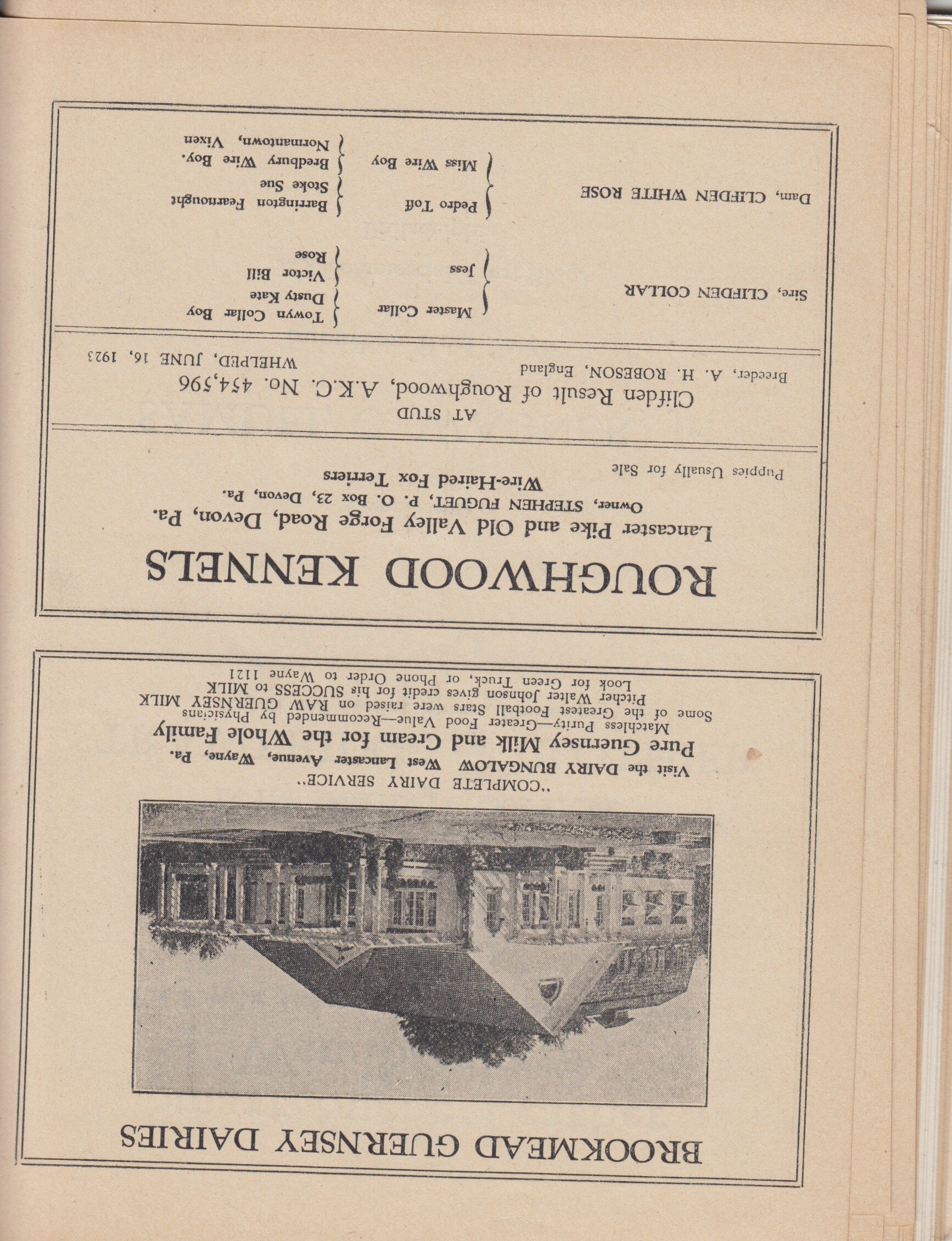 1925 program LM Hist Society 29.jpeg