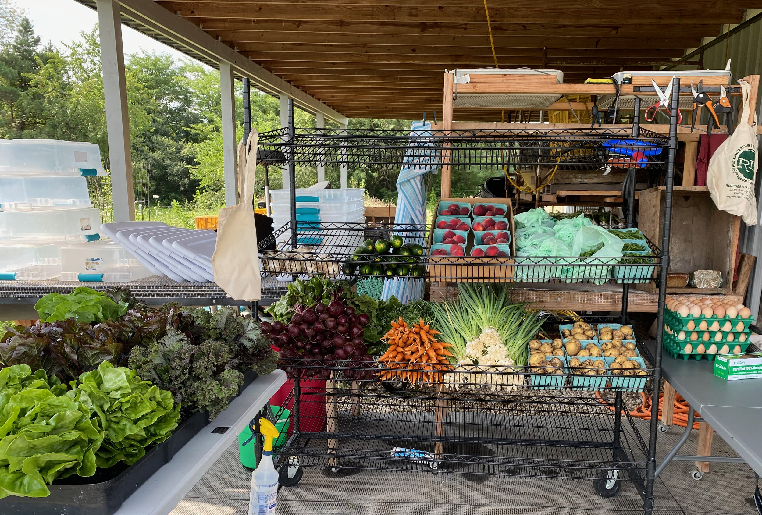 Regenerative Life Farm (RLF)