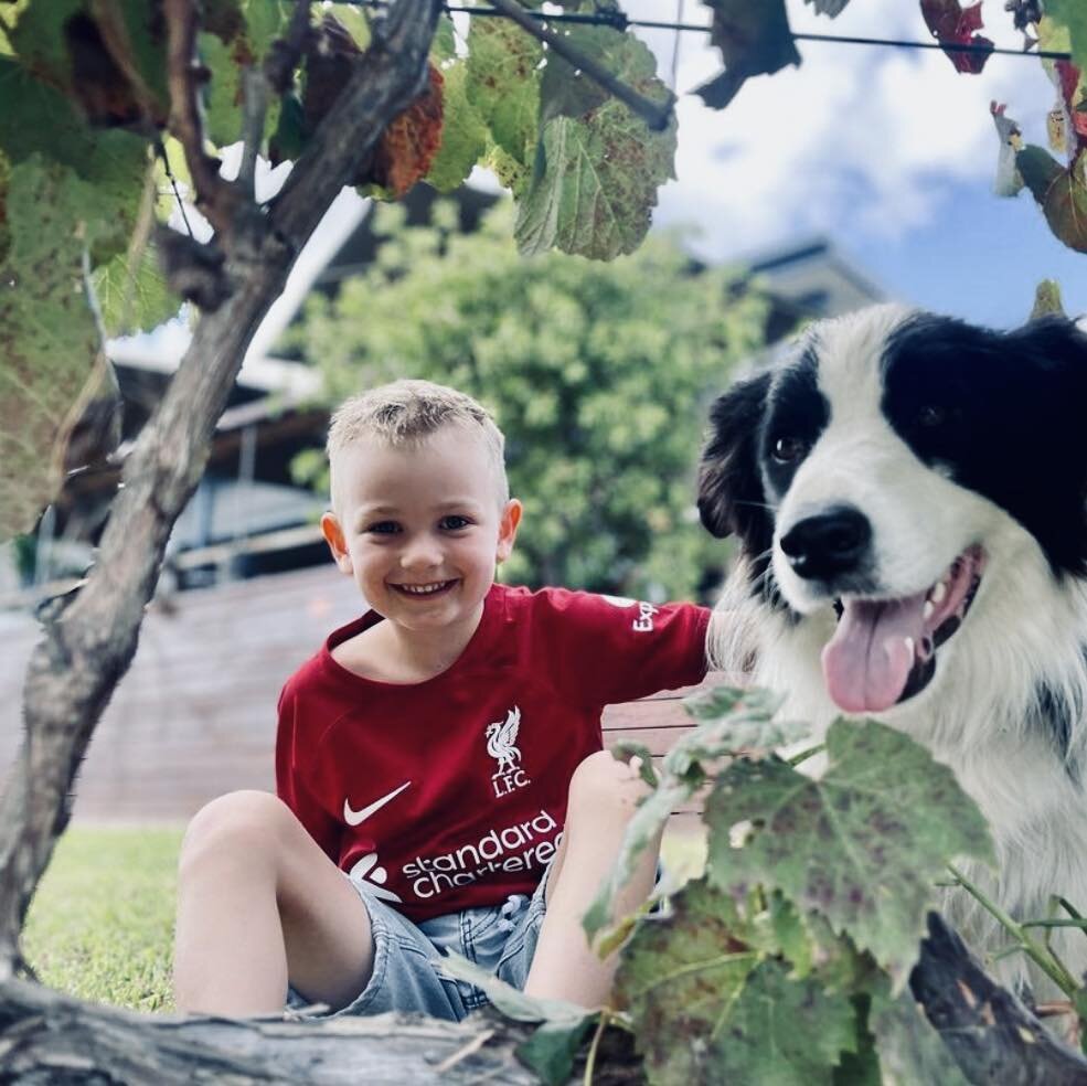 Fun for the whole family (including pets!) at Moothi Estate 🐶 🍷 Our cellar door re-opens from 10am tomorrow - book a table on our deck for the weekend via our website&hellip;

#moothiestate #mudgeeregion #mudgee #mudgeewine #mudgeewinery #mudgeecel