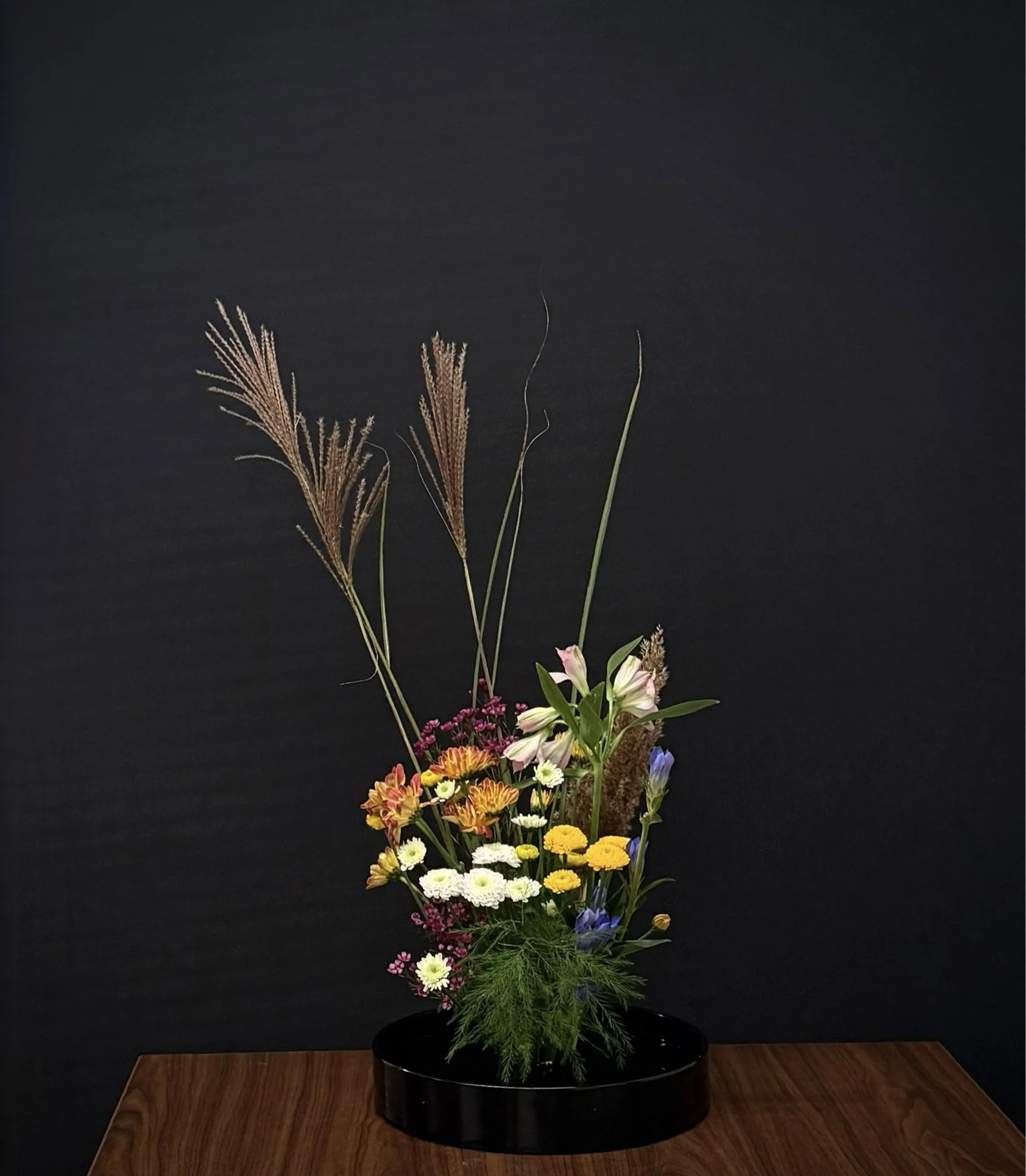 Naoko Rodolitz-11_20_25.jpg