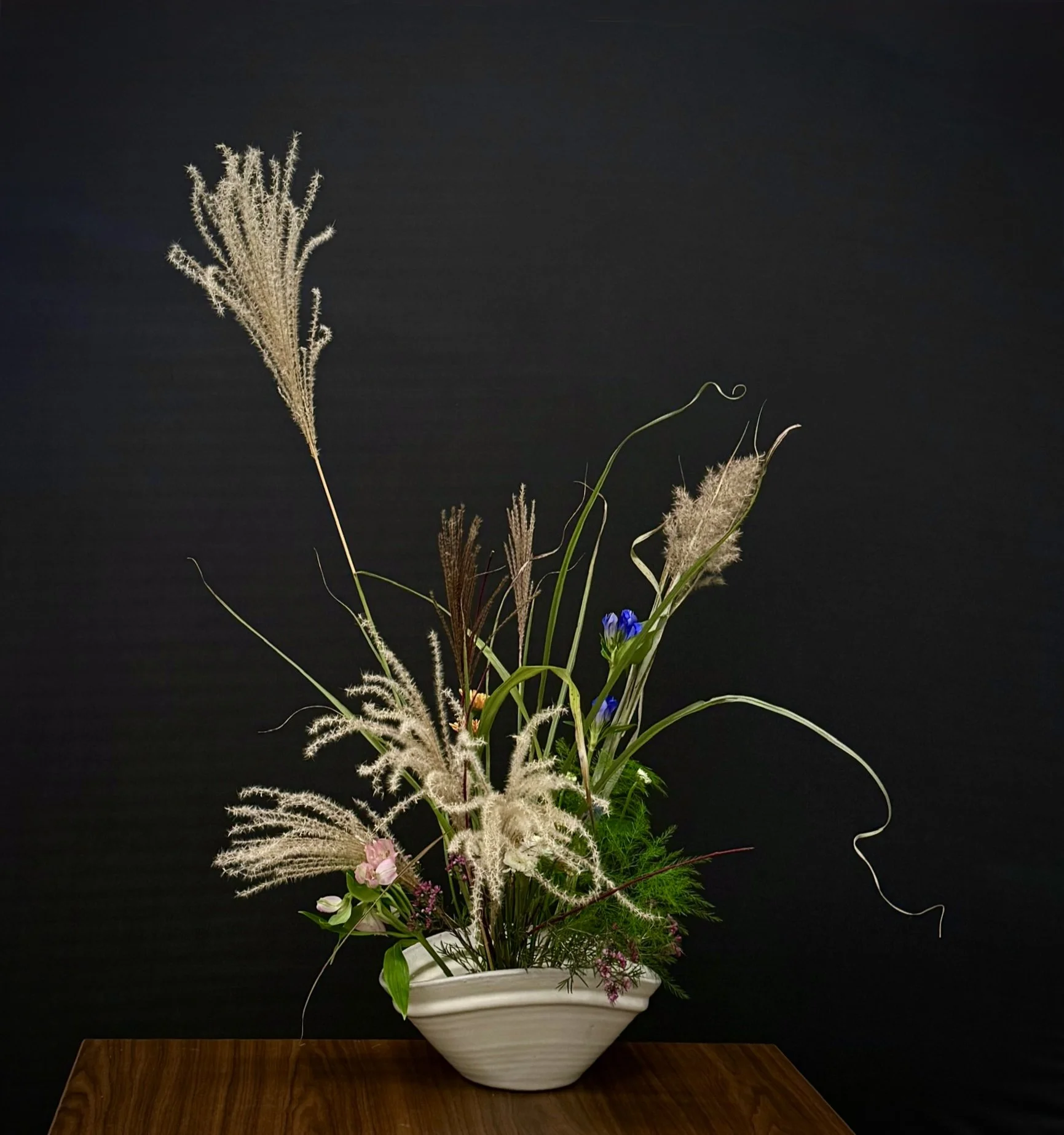 Shoko Iwata-11_20_25.jpg