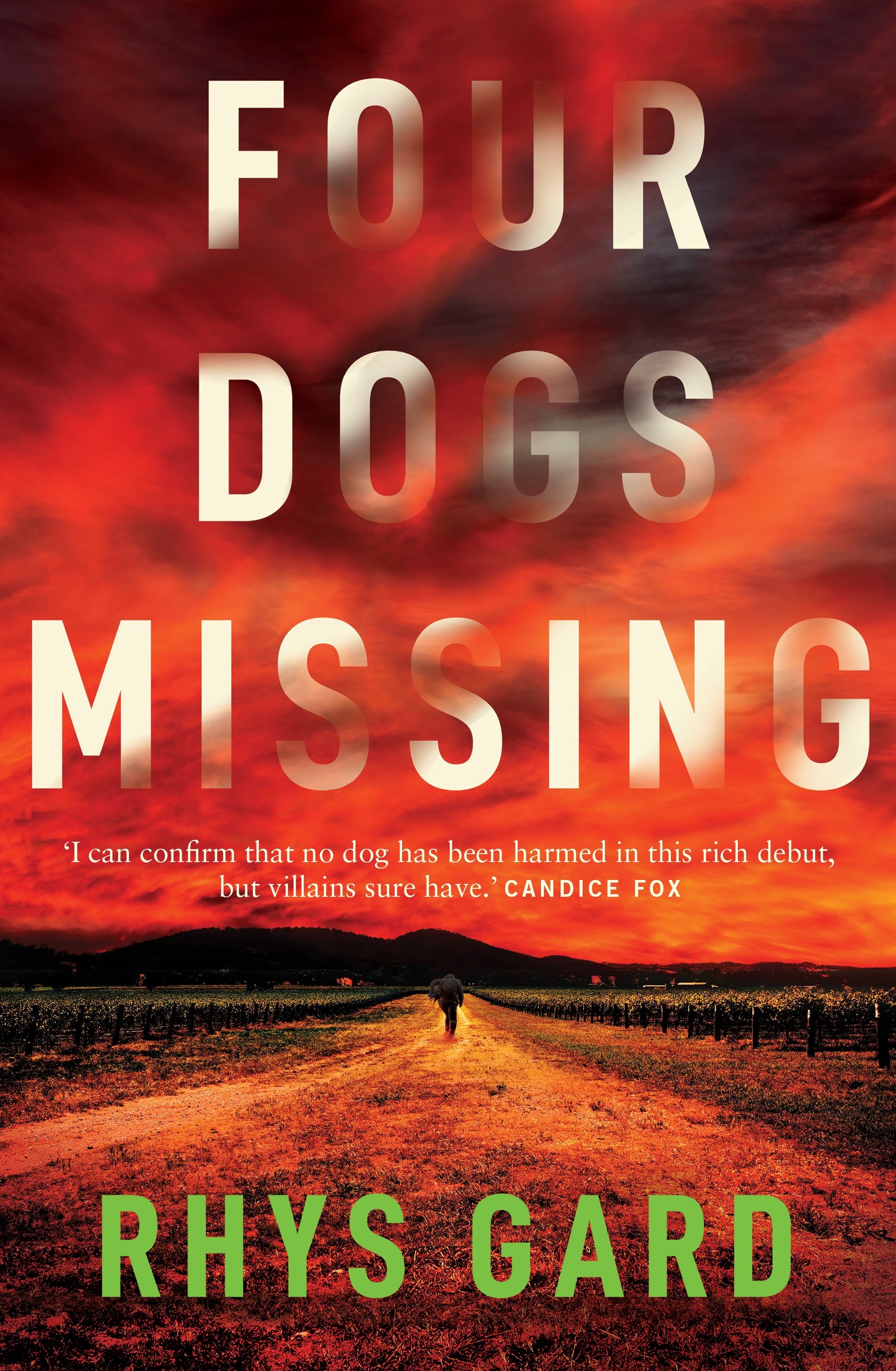 Rhys Gard Four Dogs Missing.jpg