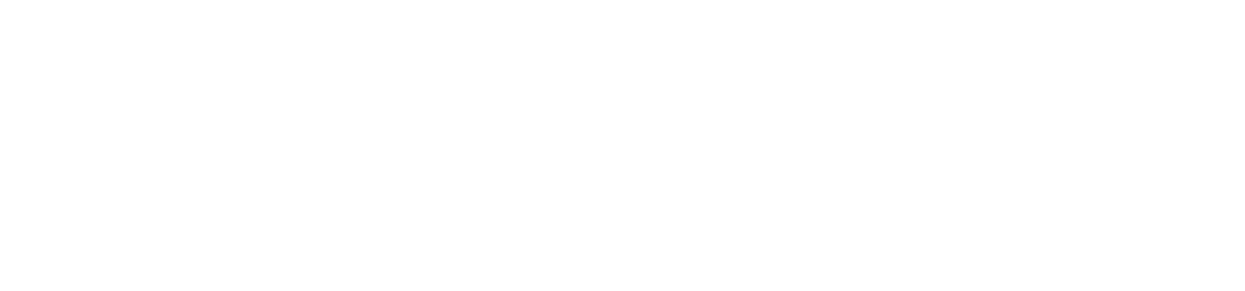WesiteHeaders Grand Opening White.png