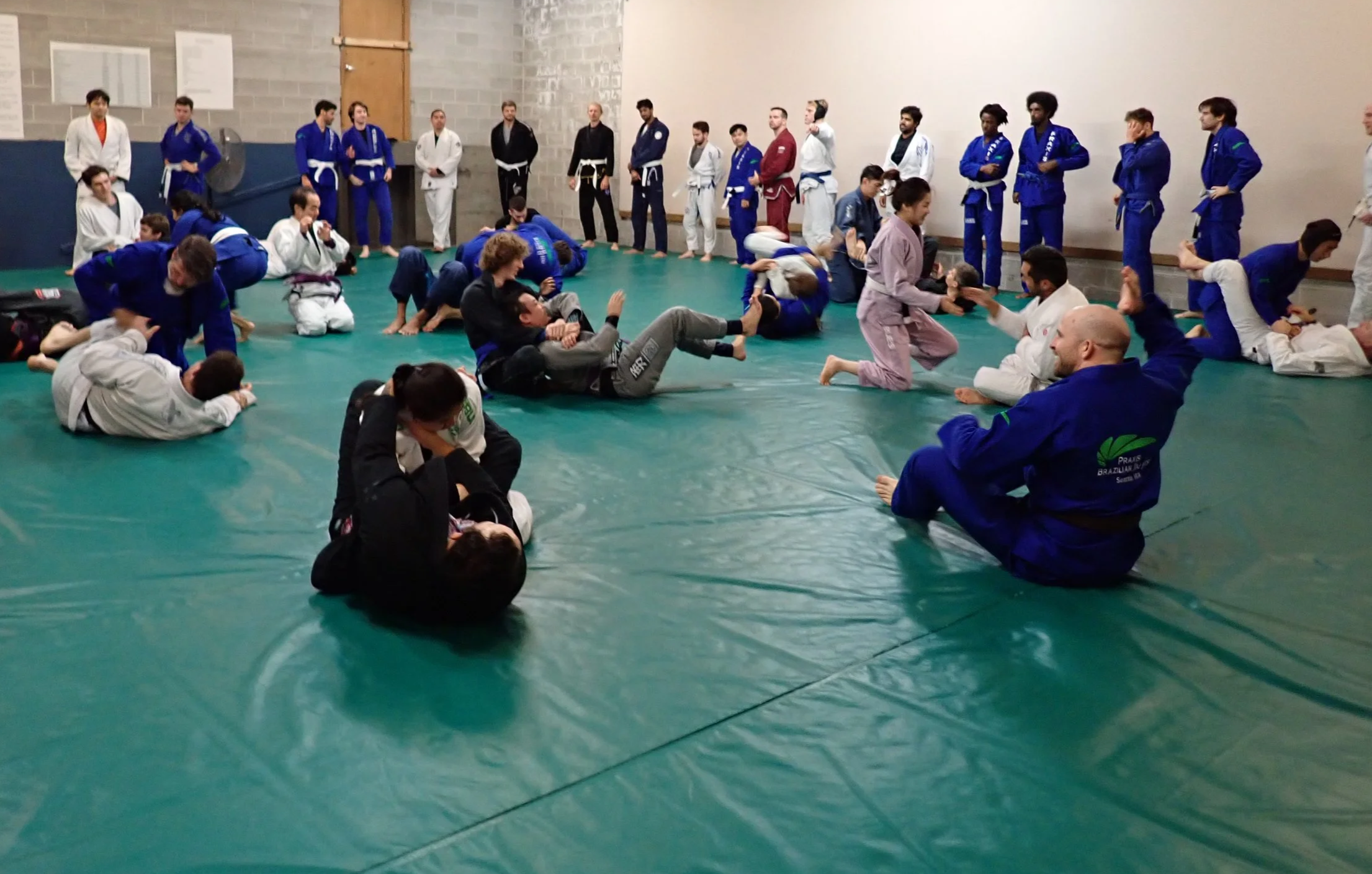 Visiting Seattle and Looking for a place to train Jiu Jitsu?