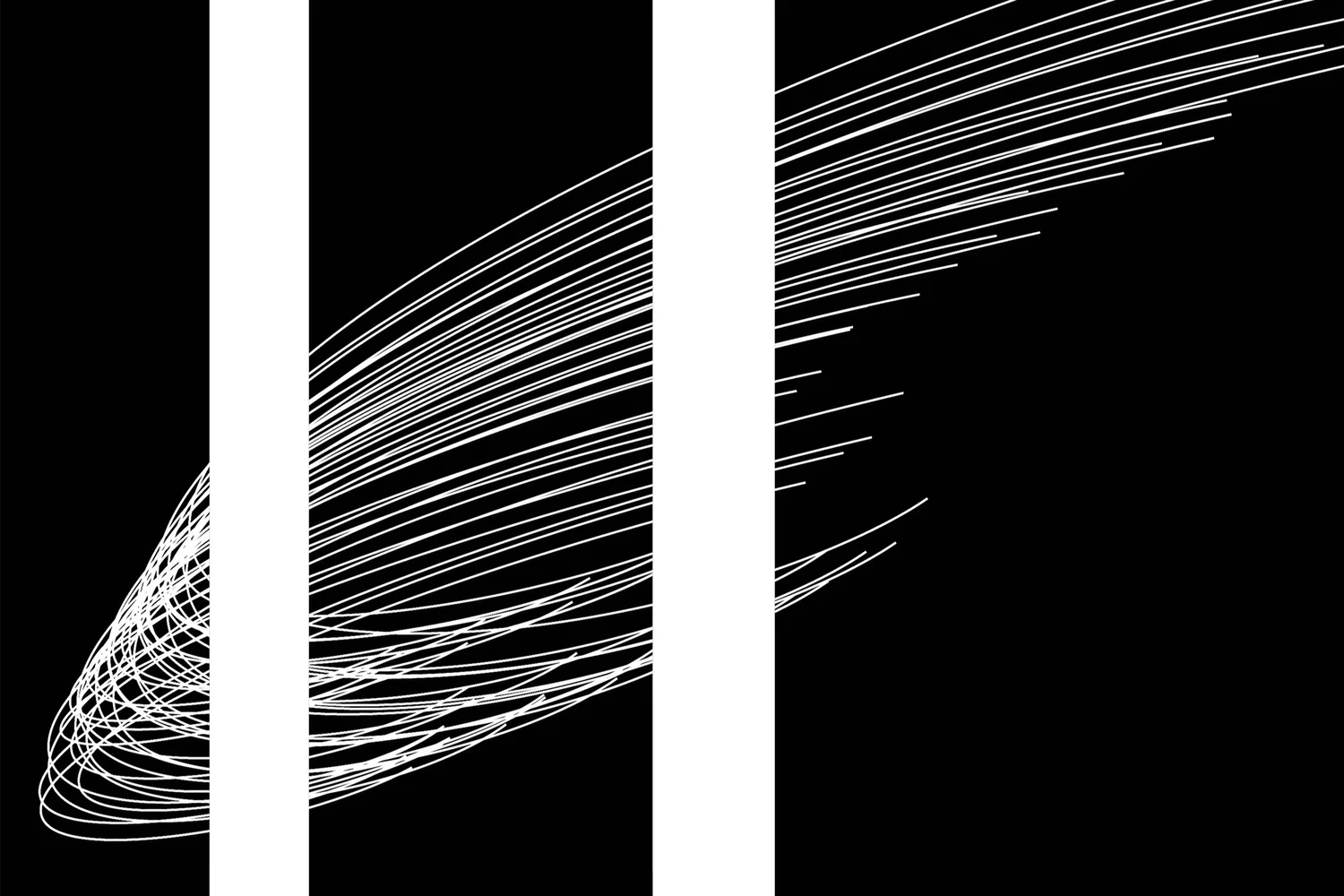 Praxis Brazilian Jiu Jitsu