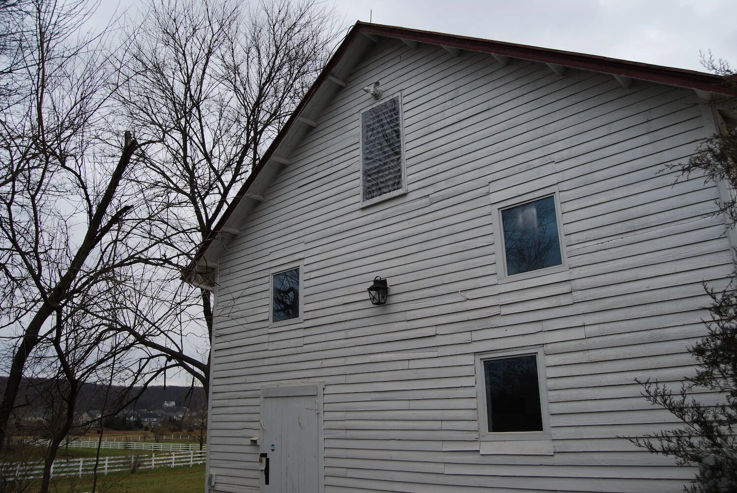 Exterior wall with trees and windows.JPG