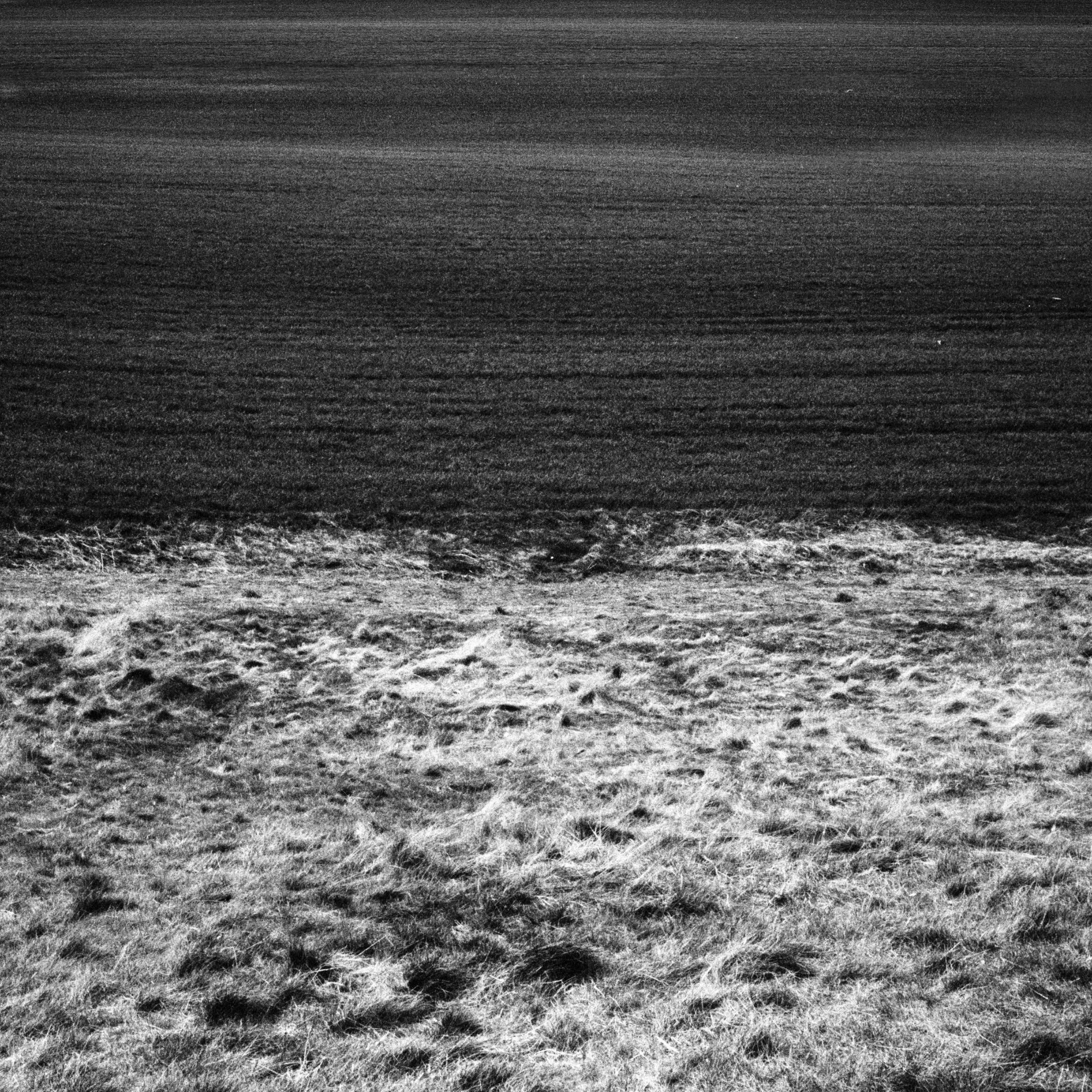 Voices. Translations of Paul Celan in Dub