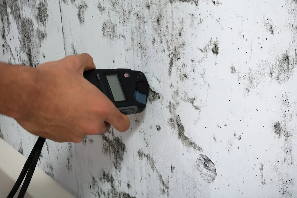 Mold Assessment - How to Tell If There Is Mold in Your Home