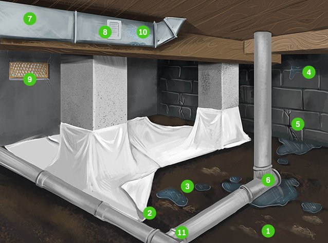 What Causes Mold In Your Home?