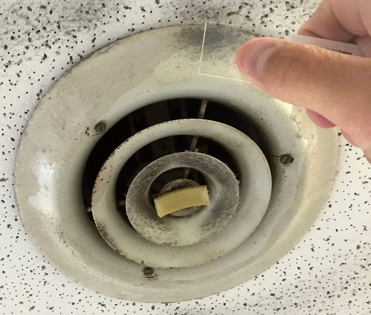 How does mold testing work?