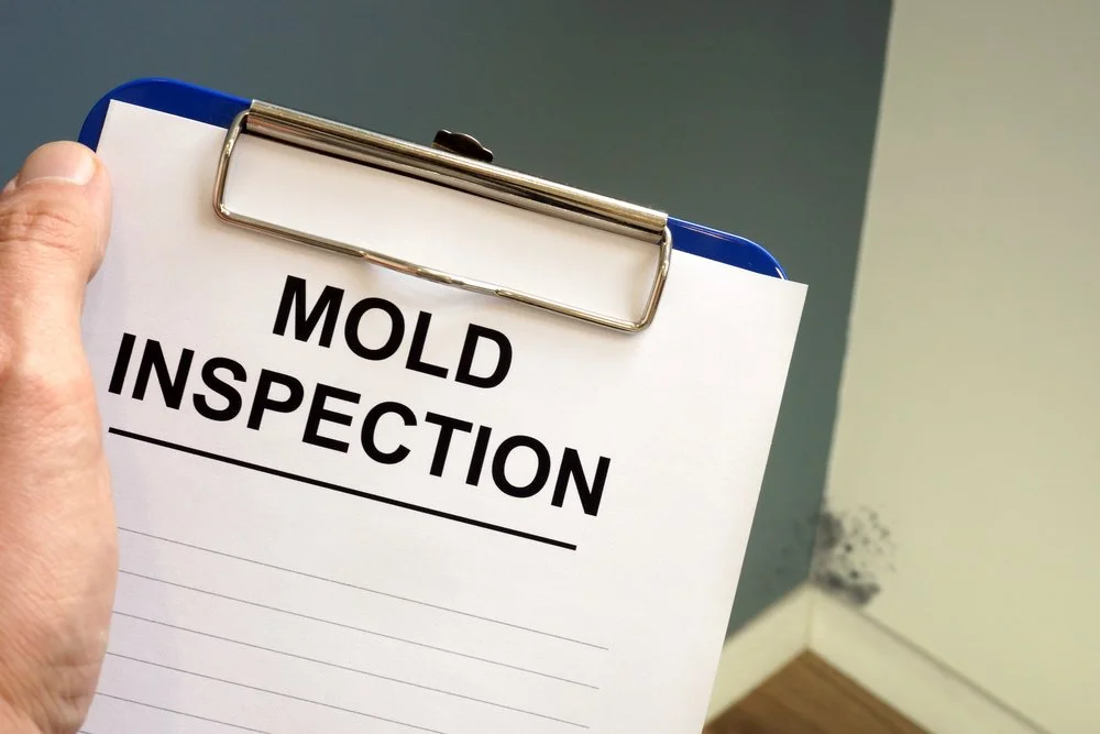 When Do You Need Mold Inspection
