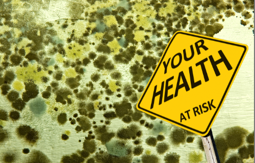 Mold Health Risks