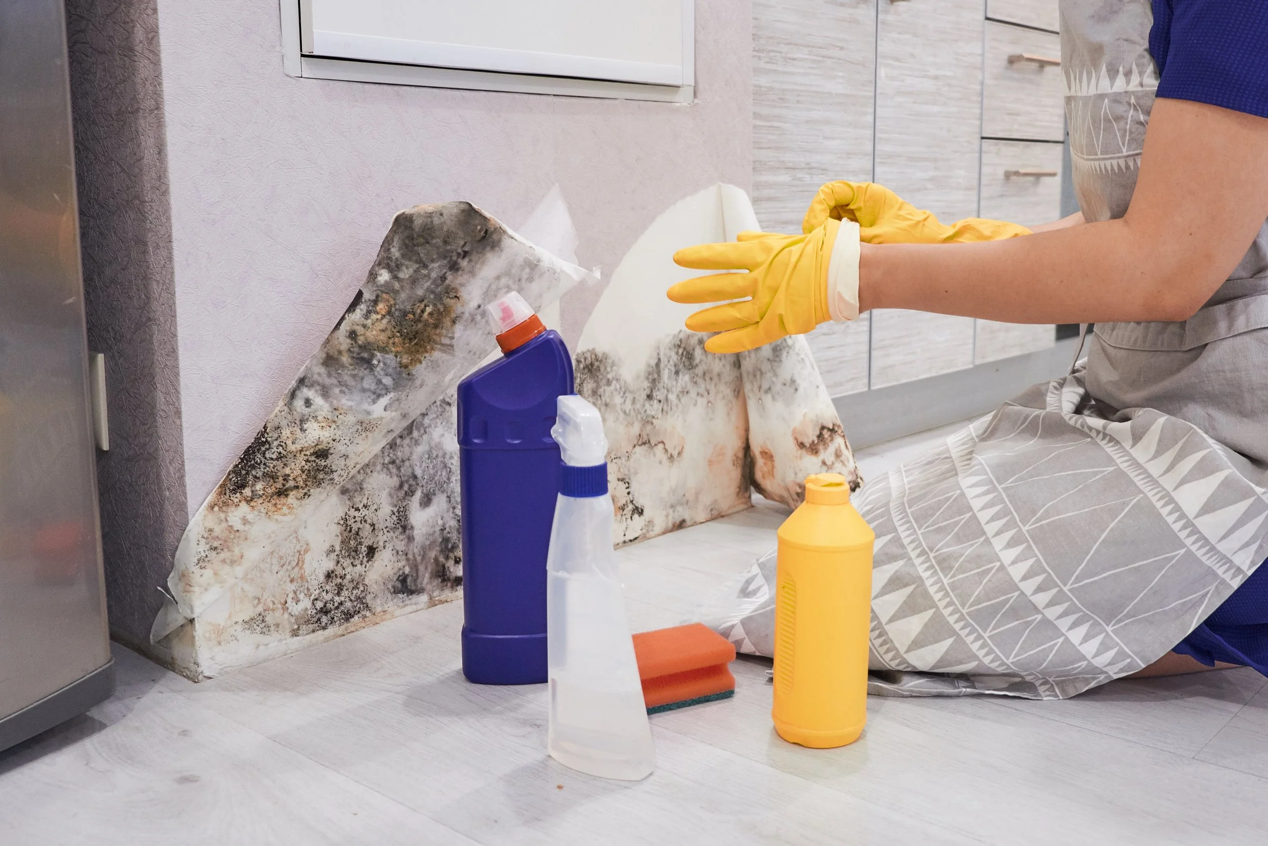 What to Do If You Suspect Mold in Your HVAC System | Mold Detection SoCal