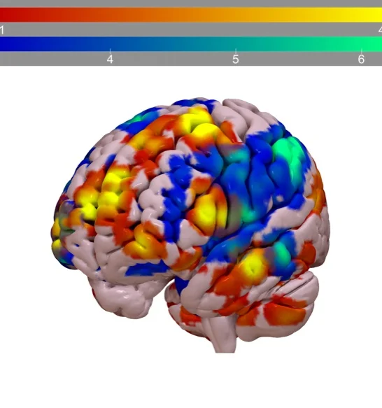 Science of Improv