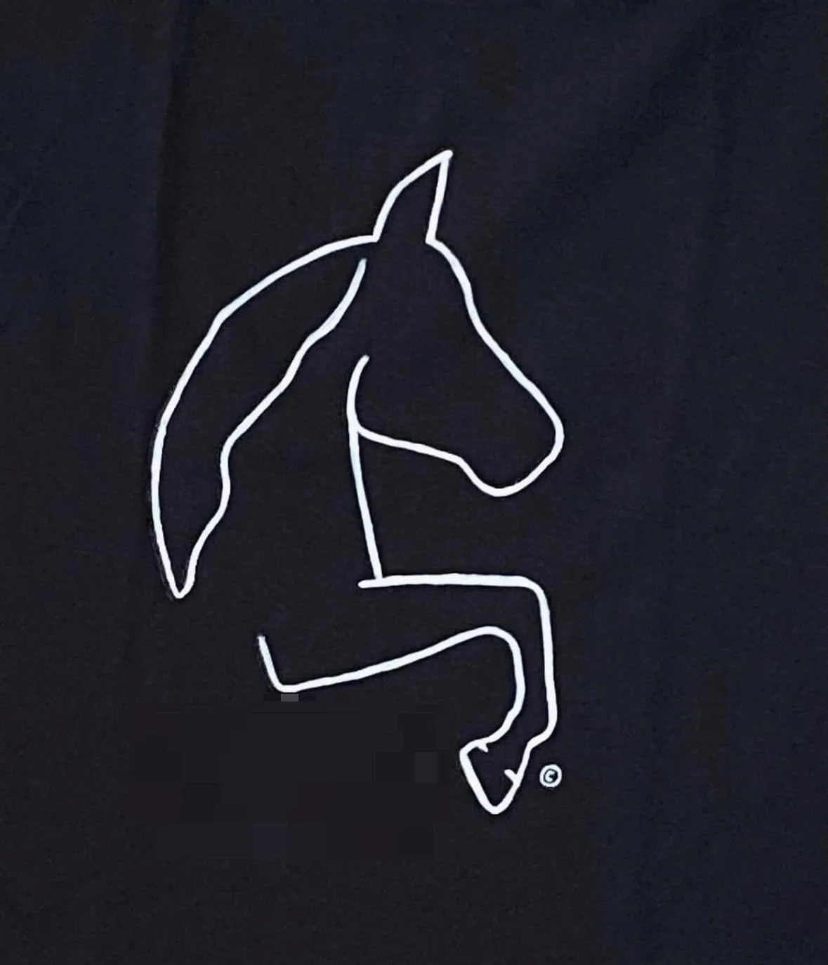 SHANEMADE Horse