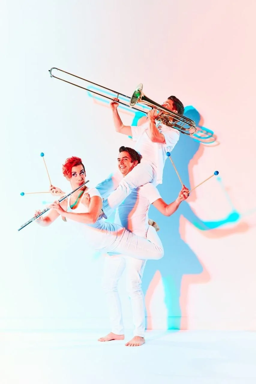 Upper Midwest Flute Association - FLUTE FEST 2022!